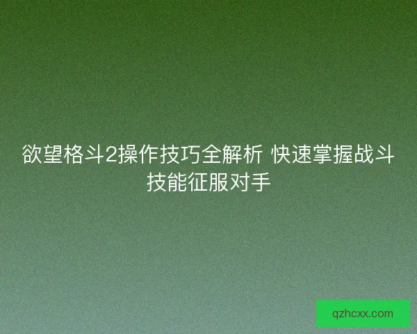 欲望格斗2操作技巧全解析 快速掌握战斗技能征服对手